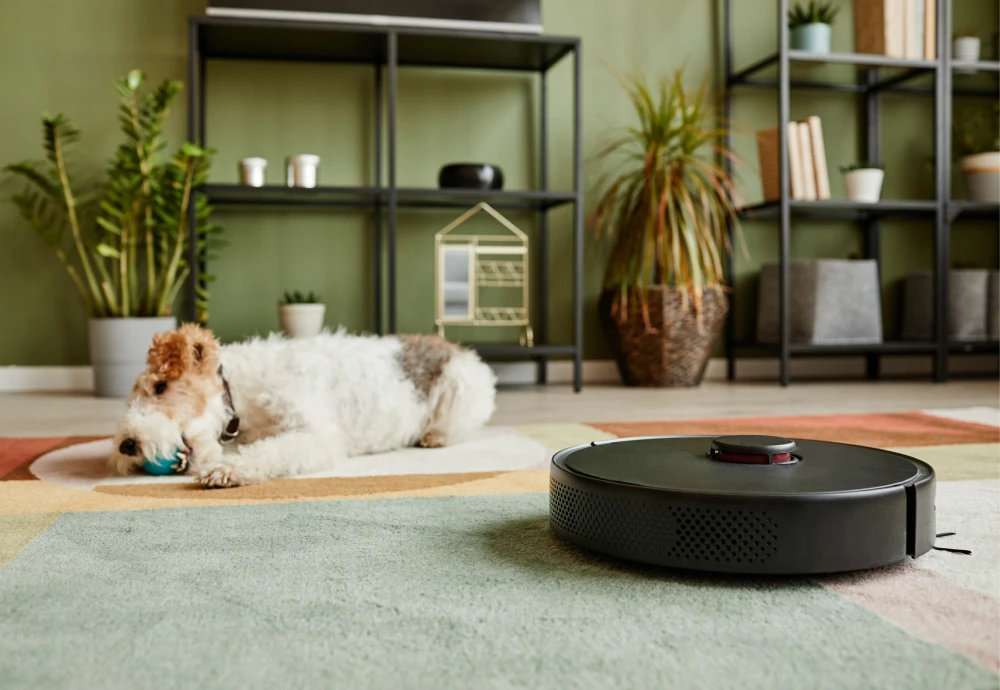 robot vacuum cleaner benefits